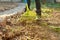 Spring seasonal gardening, rake cleaning backyard close-up.