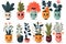 spring seedling Set of illustrations of plants in pots. Cartoon flat different indoor decorative houseplants with eyes and smile