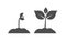 Spring seedlings plants icons