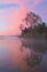 Spring Shoreline at Dawn