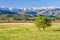 Spring snow, Cades Cove, Great Smoky Mountains