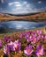 Spring snow melt and in the Carpathian valleys