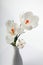 Spring Snowdrop Crocus flowers in vase