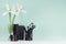 Spring soft students workplace with black stationery, books,  fresh white iris in trasparent glass vase, coffee cup on light white