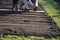 Spring sowing of vegetables in the home environment of a green garden with a grass path. mother with little boy gardening at coron