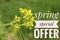 Spring Special Offer text banner on green national plants. Lands view