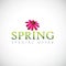 Spring special offer typography with pink blooming flower petal