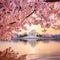 Spring Splendor: The Jefferson Memorial Amidst Blossoming Cherry Trees