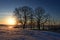 Spring in the steppes of Southern Urals