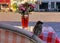 Spring street, cafe, glass with flowers on the tabletop, sparrow birds sitting on a chair, empty city at corona  virus season ,tra