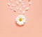 Spring or summer background with copy space for text. Chamomiles white flower with yellow heart. Top view.