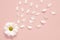 Spring or summer background with copy space for text. Chamomiles white flower with yellow heart. Top view.