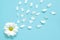 Spring or summer background with copy space for text. Chamomiles white flower with yellow heart. Top view.