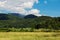 Spring summer carpathian landscape with green village field