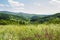 Spring summer carpathian landscape with green village field