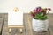 Spring or summer composition on a wooden background. bright, beautiful red and green cactuses in a concrete planter near an empty