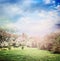 Spring or summer country village background with blooming trees and lawn in park