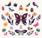 Spring and summer elements collection with decorative butterflies, birds and flowers
