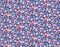 Spring summer floral pattern with small simple field colorful flowers isolated on a dark blue background