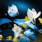 Spring and summer natural background. Beautiful blue butterfly on a background of yellow flowers and buds in the garden.