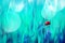 Spring summer natural background. Red ladybug on blue grass. Artistic creative bright multi-colored image