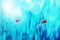 Spring summer natural background. Two Red ladybugs on a blue grass. Artistic creative bright multi-colored image.