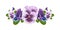 Spring and summer pansies. Purple and blue flowers. Horizontal banner. Watercolor illustration on isolated white