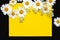 Spring summer pattern chamomile on yellow background and black desk