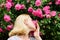 Spring and summer. Perfume and cosmetics. Woman in front of blooming roses bush. Blossom of wild roses. Secret garden