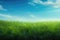 Spring or summer season abstract nature background with grass and blue sky in the back.