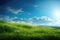 Spring or summer season abstract nature background with grass and blue sky in the back.