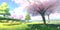 Spring sunny day, field, blossom trees, sakura trees, daisies field, illustrative background, landscape, wallpaper, nature