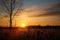 Spring sunrise in the meadows. Silhouette of a tree in the rays of the rising sun