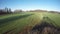 Spring sunrise trees and electrical pylon shadows on green dewy wheat field