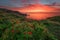 Spring sunrise with wild peonies at National Archeological Rezerve Yailata, near Kamen bryag, Bulgaria