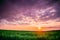 Spring Sunset Sky Above Countryside Rural Meadow Landscape. Wheat Field Under Sunny Spring Sky. Skyline. Agricultural