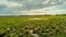 Spring in the swamp, beautiful grass in the water. Time lapse.