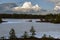 Spring swamp with melting ice and islands without snow with small pine trees