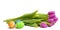Spring symbols: tulips and Easter eggs