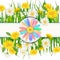 Spring template banner with fresh flowers bouquet dandelions and multi colored daisies, chamomiles, grass. Vector