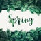 Spring text with green leaves background design with white paper