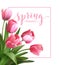 Spring text with tulip flower. Vector