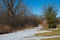 Spring thawed patches on park paths