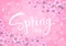Spring time background with cherry blossoms flowers