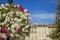 Spring time blooming season landmark scenic view of flowers vase in old European city square area with building and vivid blue sky