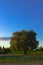 Spring time country side vertical landscape photography with green hill and lonely tree, clear morning weather, blue sky