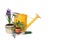 Spring Time Gardening With Watering Can, Trowel an