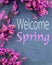 Spring time image of dried pink flowers on a slate background with a spring message