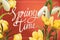 Spring time lettering horisontal postcard or banner