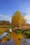 Spring time in Ohio marsh lands